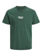 Trekking Green