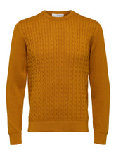 Buckthorn Brown