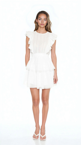 Clip Dot Lace Ruffled Mini Dress