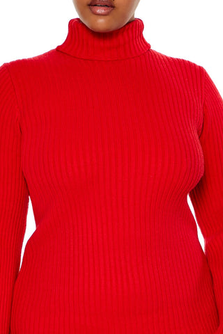 Plus Size Turtleneck Mini Sweater Dress