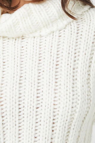 Turtleneck Cropped Sweater