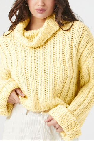 Turtleneck Cropped Sweater
