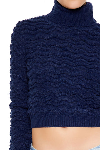 Turtleneck Cropped Sweater