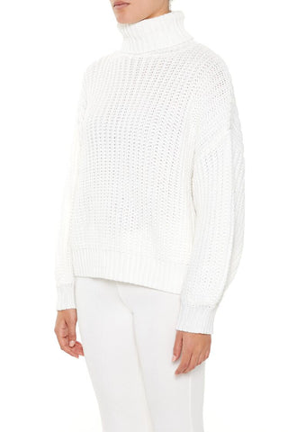 Turtleneck Knit Sweater