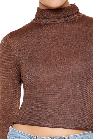 Glitter Knit Turtleneck Crop Top