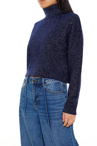Glitter Knit Turtleneck Sweater
