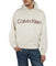 Long Sleeves Relaxed Stncl Sueded PO Hoody