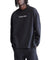 Long Sleeves Standard Logo Terry Crew