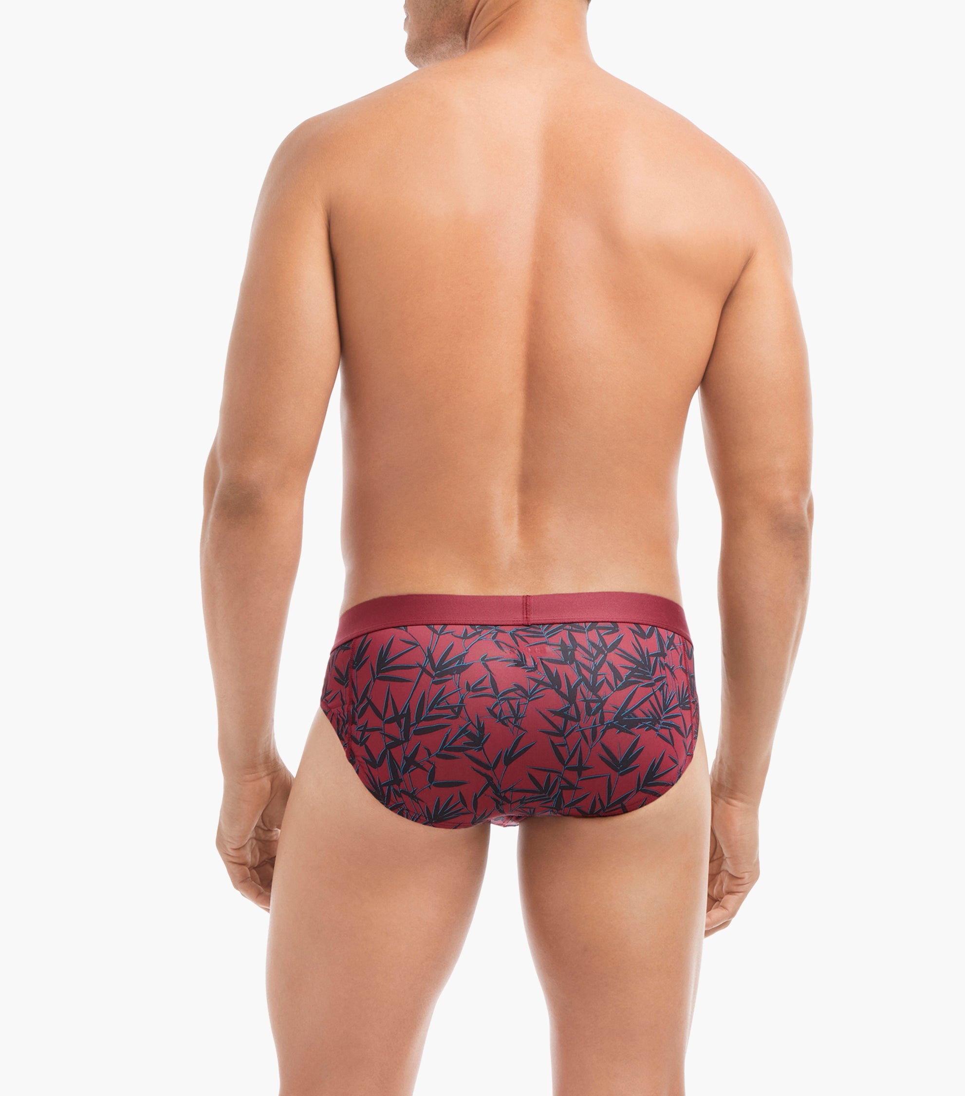  2xist Sliq Brief - Bamboo Print - Bonton
